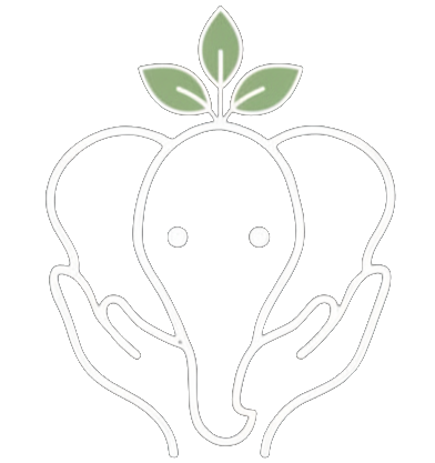 Logo Only No Business Name